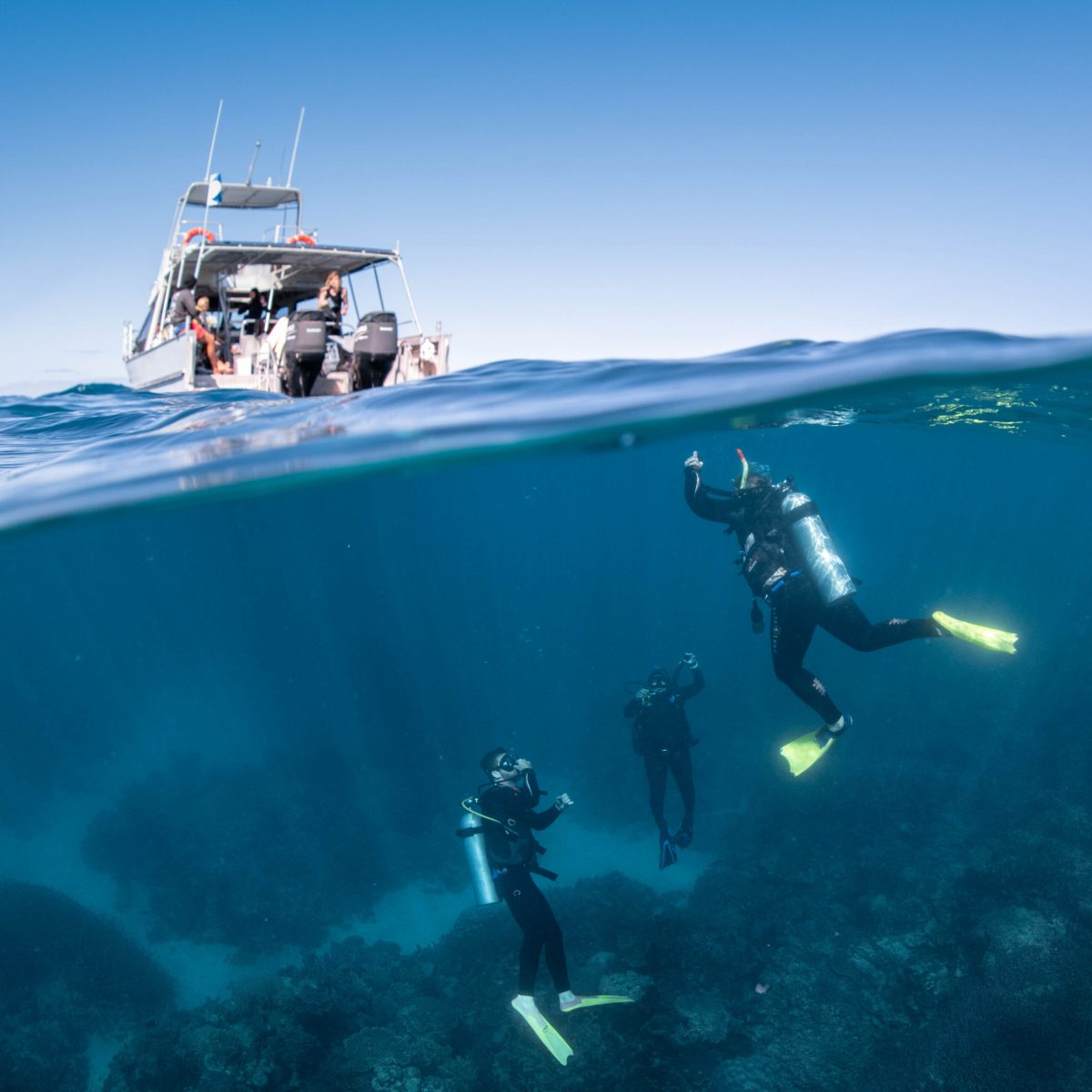 People diving under the ocean