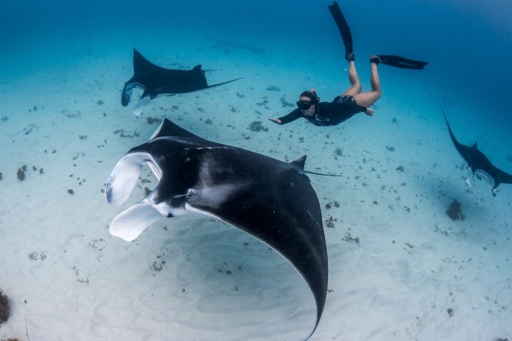 a man holding a fish jumping out of the water